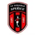 TJ Dálnice Speřice